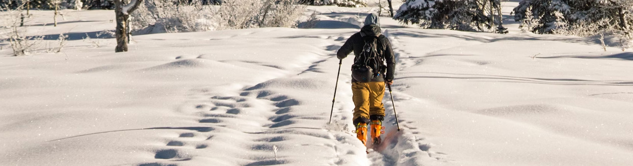 BON DE RÉDUCTION -10% pour Black Crows
