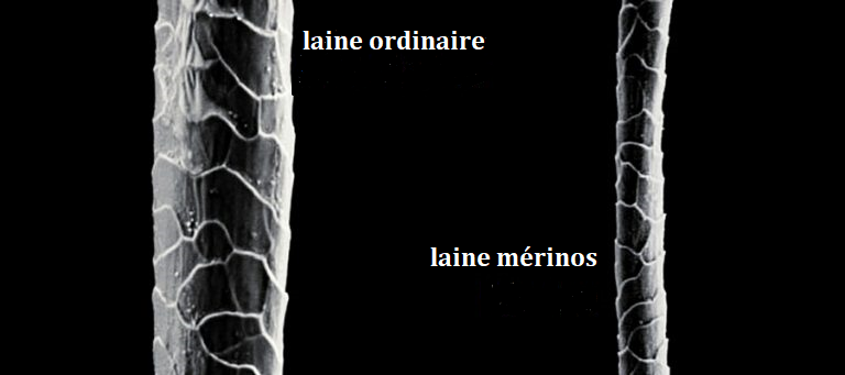 foto4.png